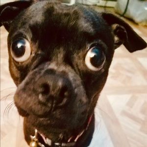 Meet your Posher, Nick